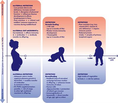 Impact of Early Life Nutrition on Children’s Immune System and Noncommunicable Diseases Through Its Effects on the Bacterial Microbiome, Virome and Mycobiome